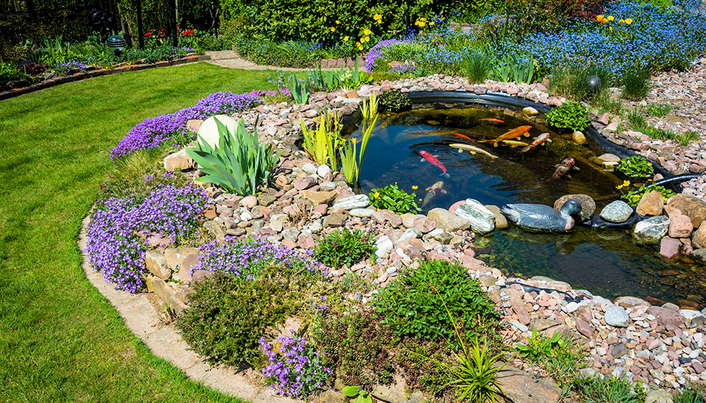 mini small aquarium scene underwater world full of fish swimming